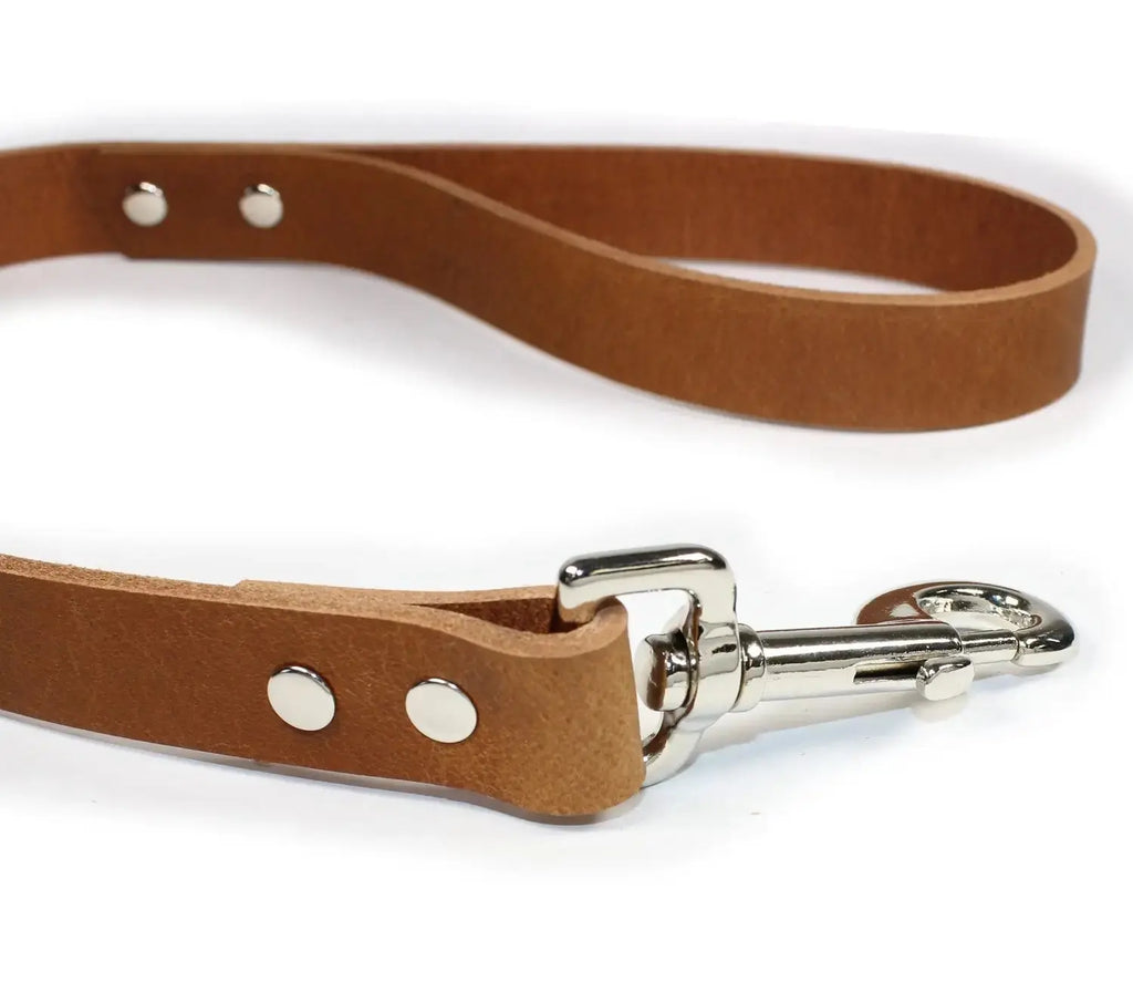 Classic Thick Leather Traffic & Control Dog Lead 2' - John Freya