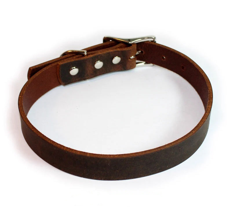 Premium Thick Leather Dog Collar