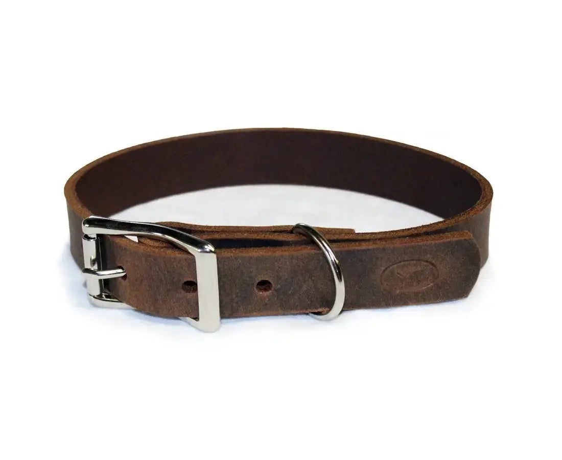 Premium Thick Leather Dog Collar - John Freya