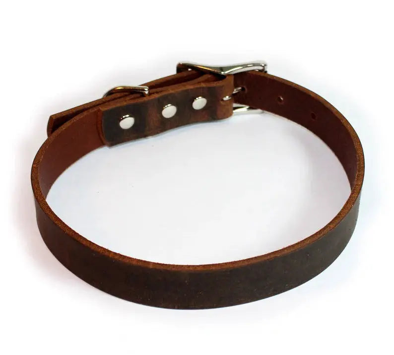 Premium Thick Leather Dog Collar - John Freya